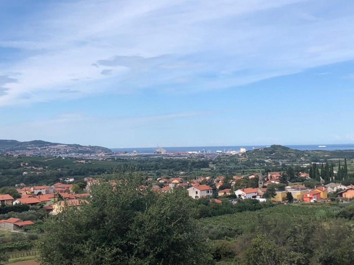 Apartma Mija-Dekani Exteriér fotografie
